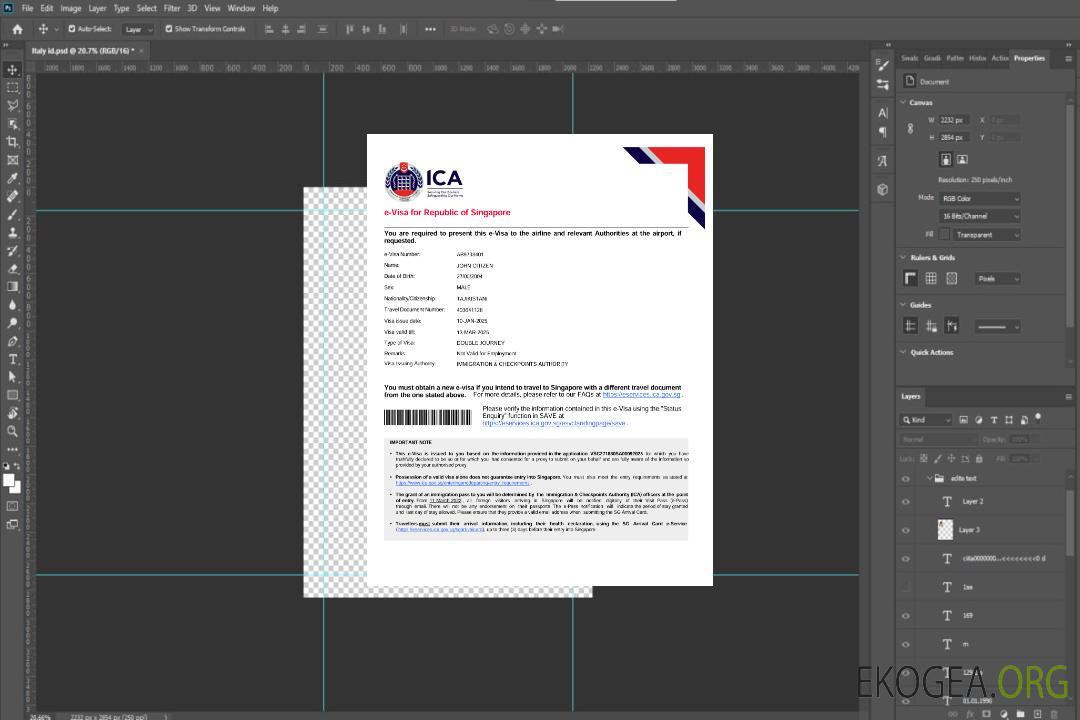 Modèle de visa électronique pour Singapour aux formats Word et PDF, version 2 template